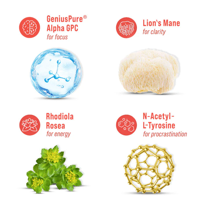 FocusRitual™ – SuperFocus -ADHD Brain Support Drink for Sharp Focus & Calm Energy